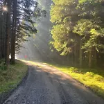 Ostruvek