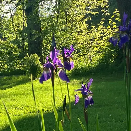 Dom wakacyjny Ostruvek Tachov (Plzen)