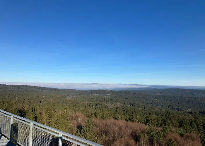 Ostruvek