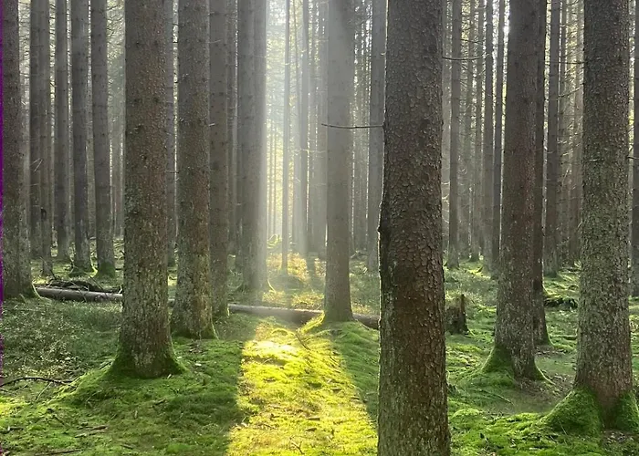 Feriehus Ostruvek