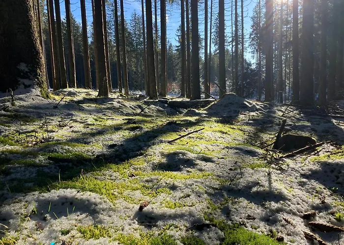 Feriehus Ostruvek *